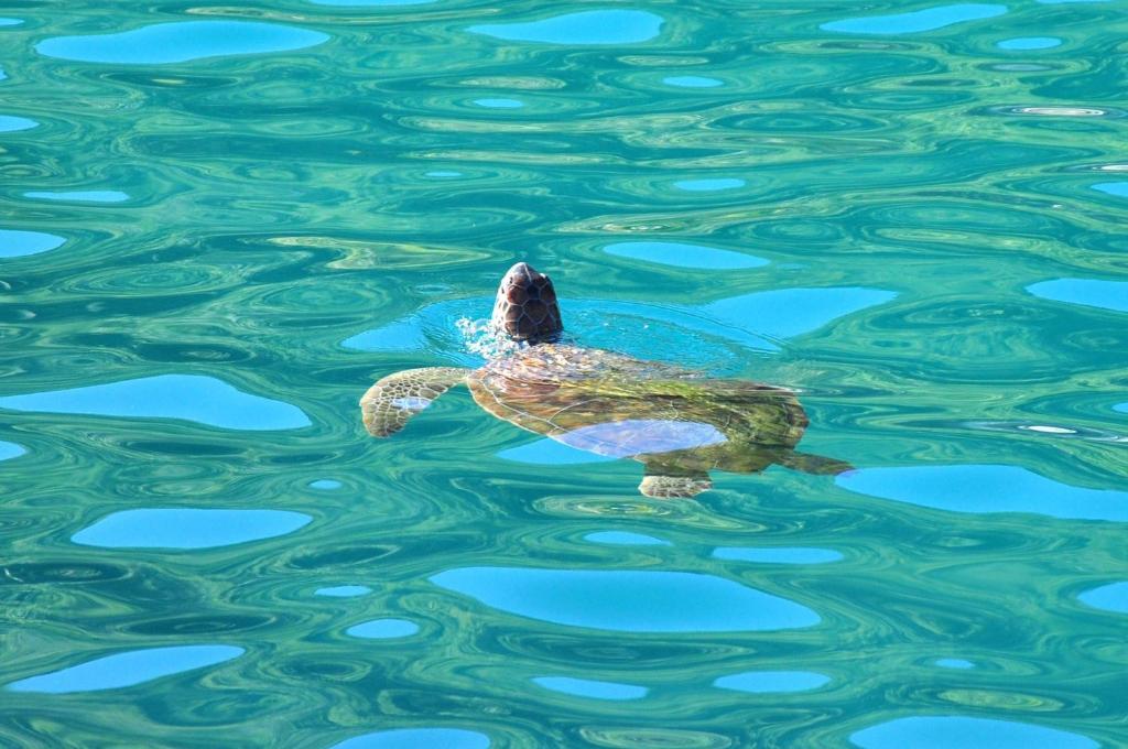 Pousada Estalagem Do Porto Arraial do Cabo Dış mekan fotoğraf